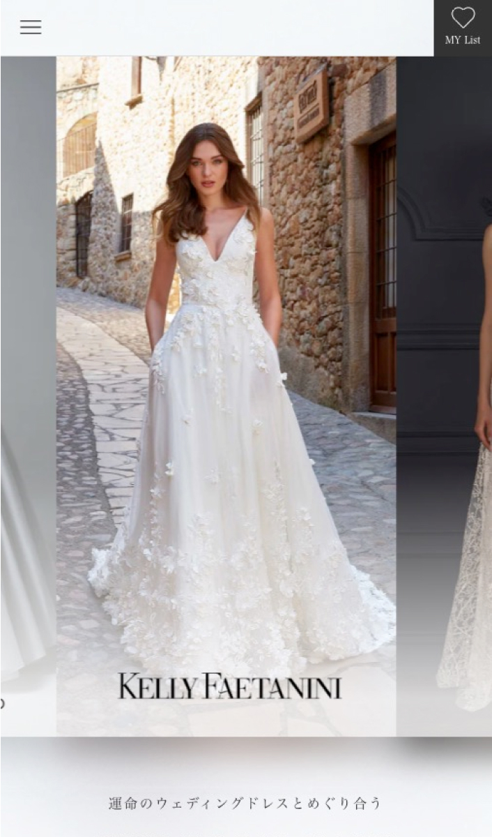 THE DRESS SHOP