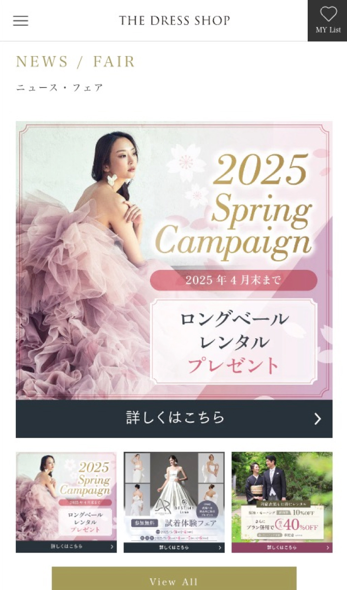 THE DRESS SHOP